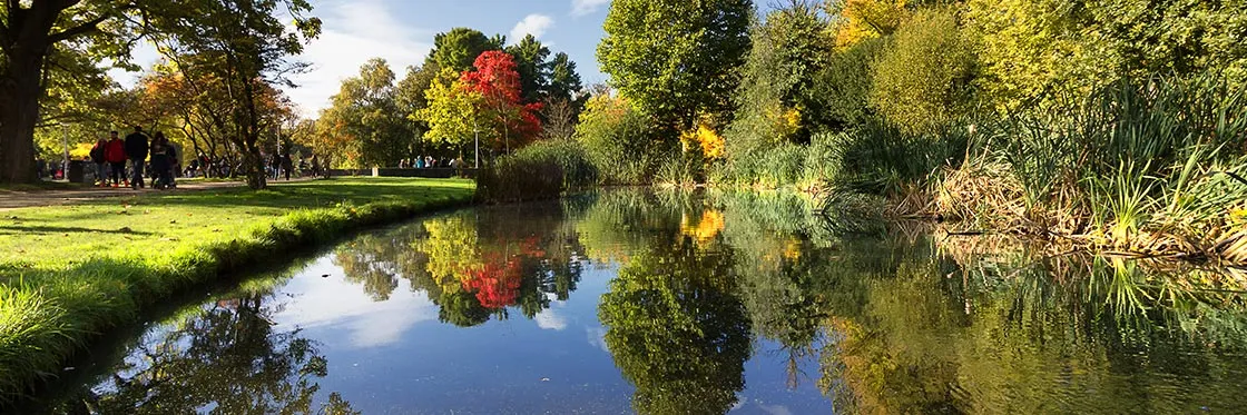 Vondelparks weelde.